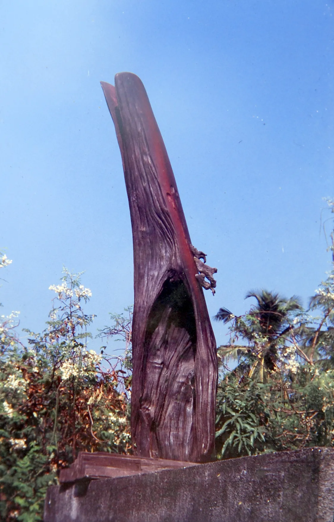 Farmer at Work
