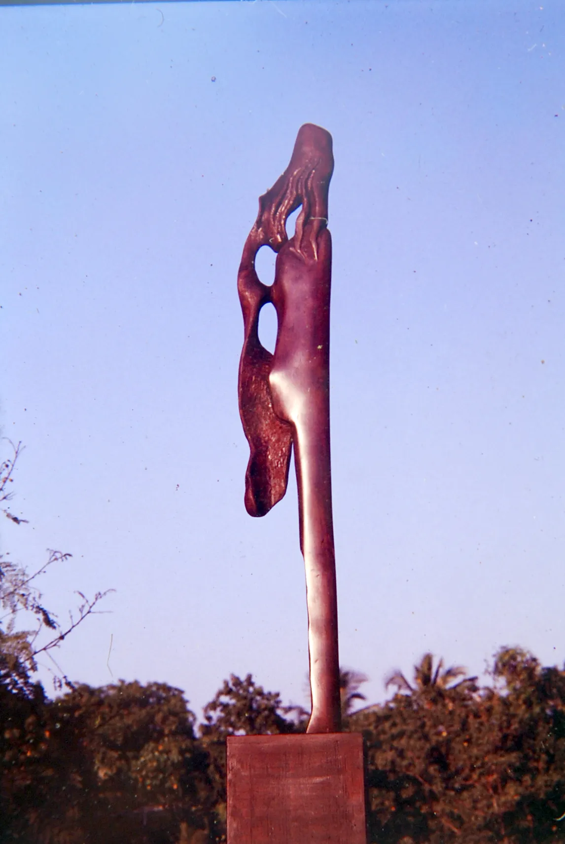 Tribal Dancer