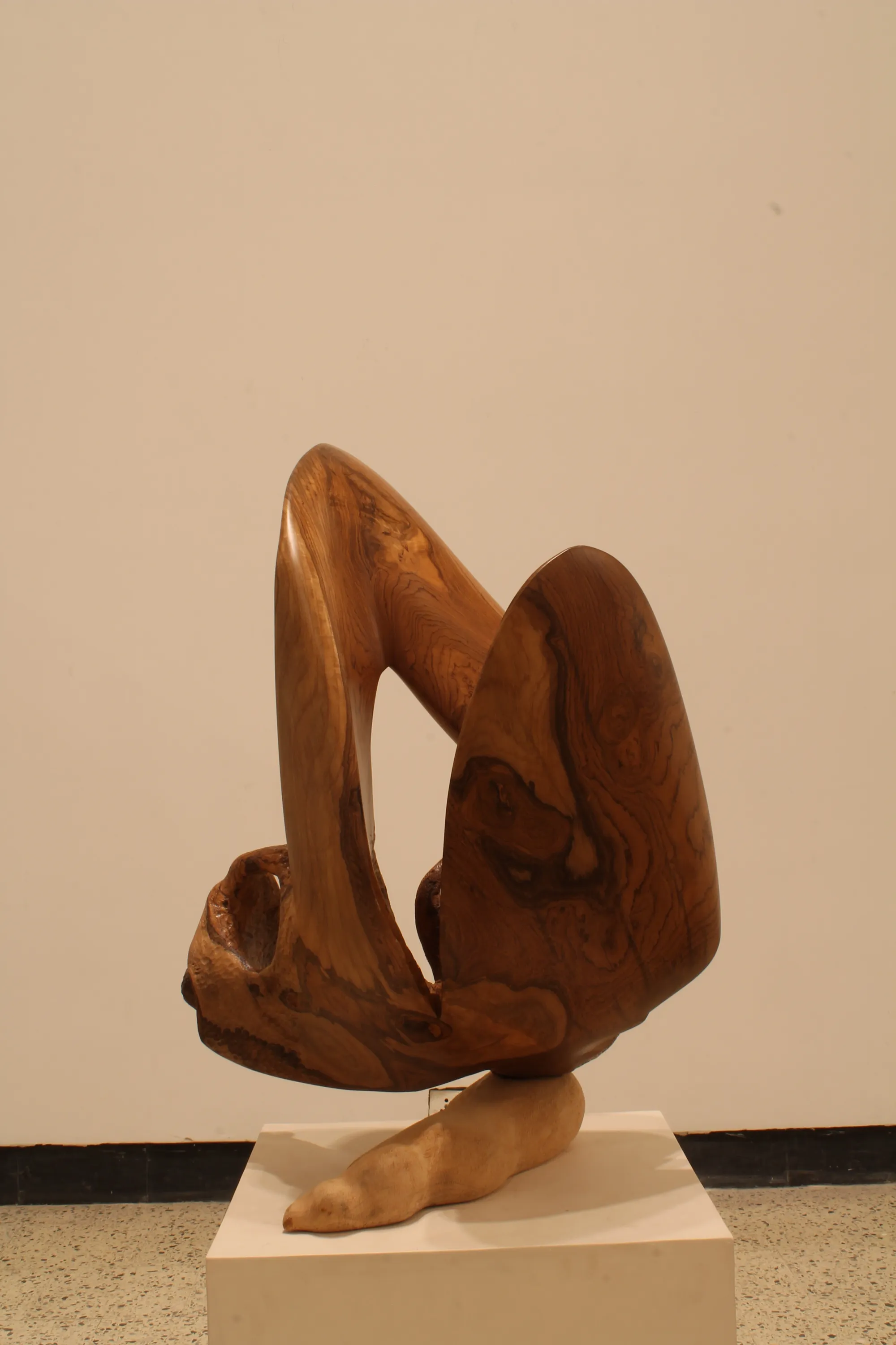Reclining Figure
